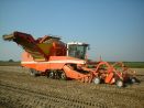 grimme rooier vinke 4 rij 0141.jpg (4K)